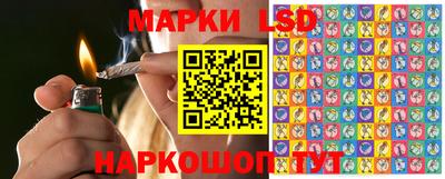 крисы Будённовск