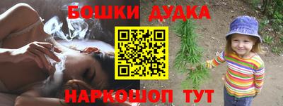 крисы Будённовск