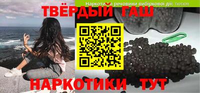 твердый Гатчина