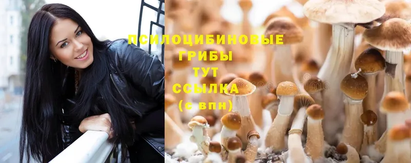 нарко площадка телеграм  купить   Кувандык  Галлюциногенные грибы MAGIC MUSHROOMS 