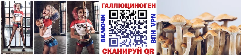 Псилоцибиновые грибы MAGIC MUSHROOMS  Кувандык 