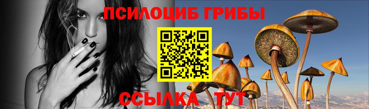 Кувандык  Псилоцибиновые грибы Cubensis  Вход с VPN  Псилоцибиновые грибы Cubensis 